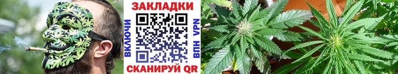Где продают наркотики Тольятти Гашиш  КЕТАМИН  Псилоцибиновые грибы  Альфа ПВП  Меф  КОКАИН  Каннабис 