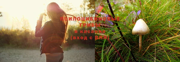 каннабис Горно-Алтайск